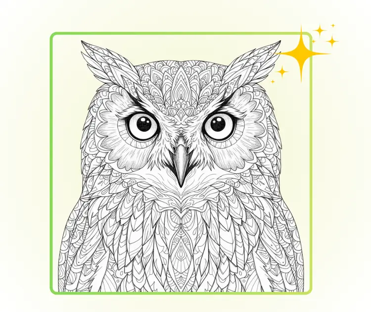 专业品质且易于使用的页面