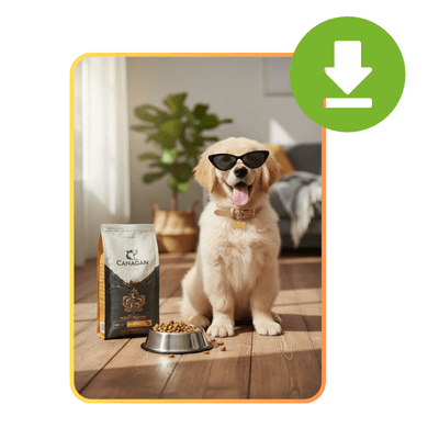 AI 图像合成器：步骤三：让 AI 合并并生成图像