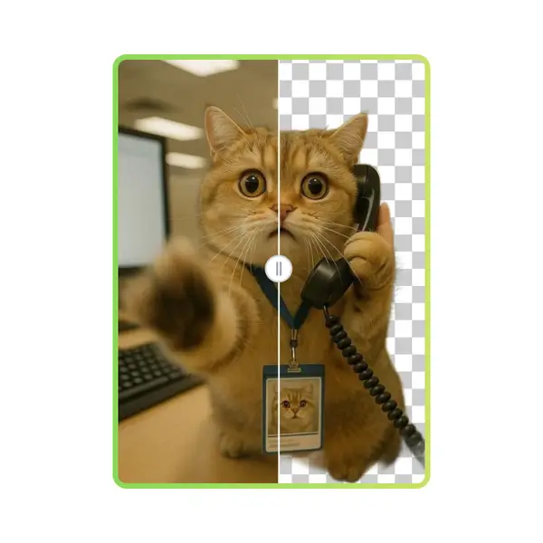 PNG Maker - 步骤2：预览生成的PNG效果