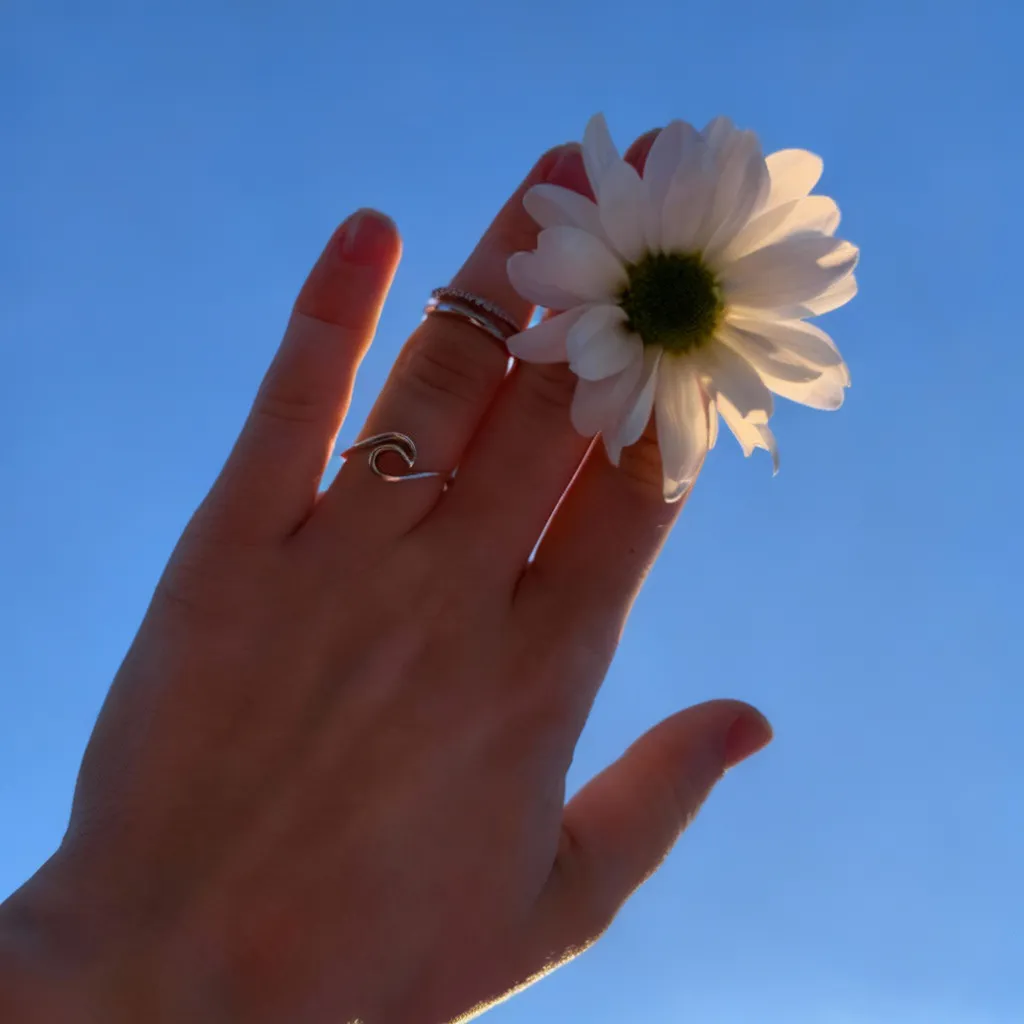 Figure Style: Aesthetic - VisualGPT