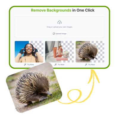 AI удаление фона: Шаг 1 – Загрузите изображение для редактирования