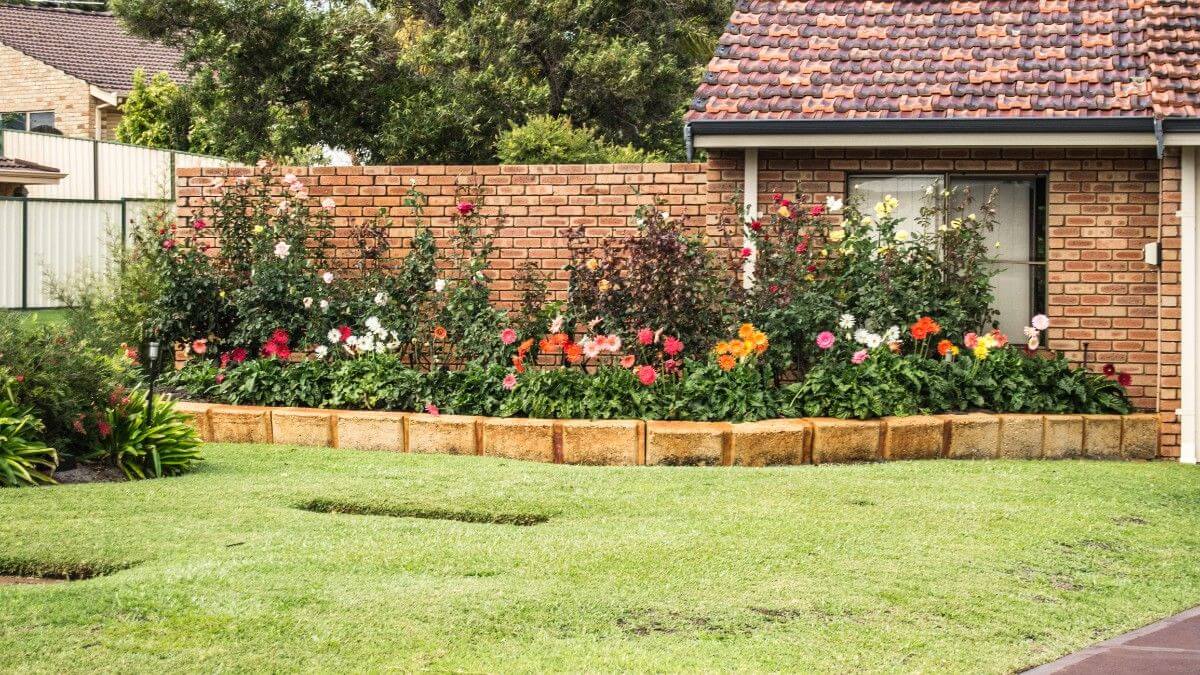 عينة من مولد تصميم الحدائق: حديقة