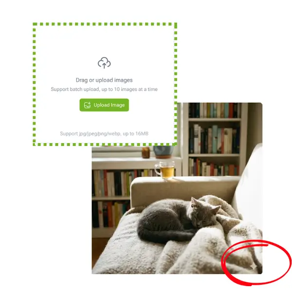 Gemini 水印去除工具 - 步骤 1：上传或选择模特照片