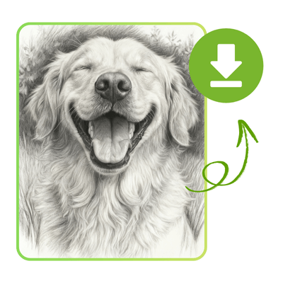 محول الصور إلى رسومات تخطيطية: الخطوة 3: أنشئ رسمك التخطيطي