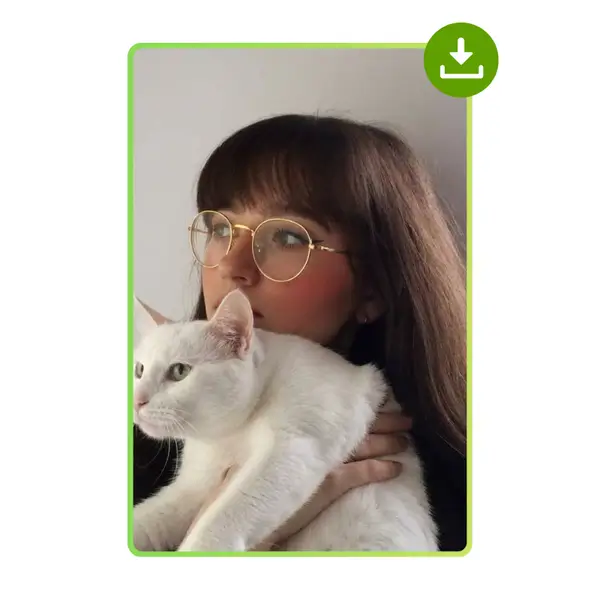 第 3 步：预览并下载